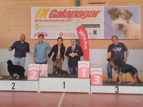 Éxito del IX Concurso Nacional canino de Galapagar