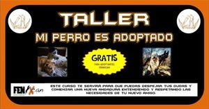 Cursos gratuitos en el Centro de Acogida de Animales