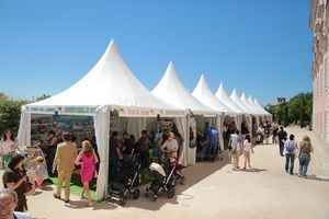 Boadilla celebra su Feria del Libro con el cómic como protagonista



 


