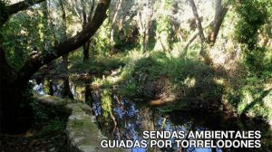 Sendas guiadas por Torrelodones durante el verano