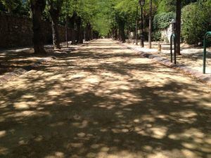 Adecuación del Paseo del Álamo en El Escorial