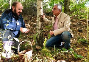 Actividades en el Monte Abantos para conocer las setas