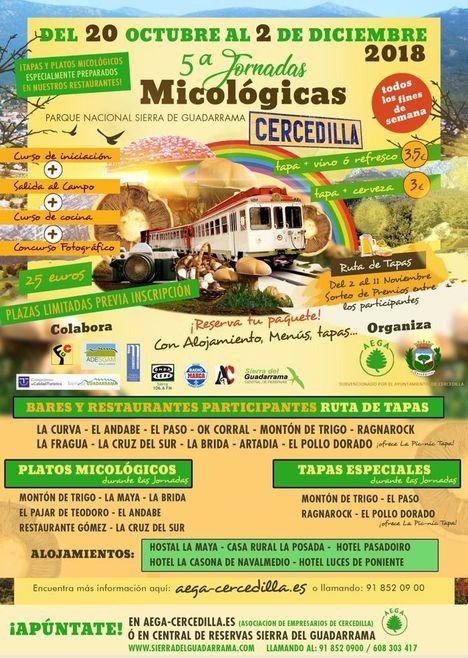 Todos los fines de semana de noviembre, jornadas micológicas en Cercedilla