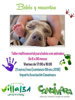 Un taller ofrece ocio y educación asistida con animales para bebés