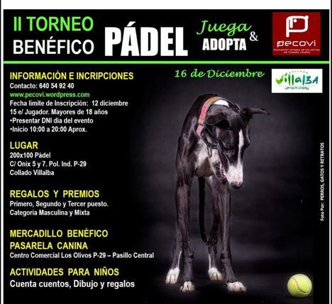 Pádel solidario para promover la adopción de perros