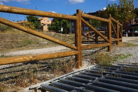 El Ayuntamiento destinará 160.000 euros a la gestión de la fauna silvestre