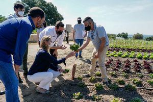 La huerta-laboratorio del chef Mario Sandoval en San Lorenzo, una apuesta para reactivar el sector agrícola