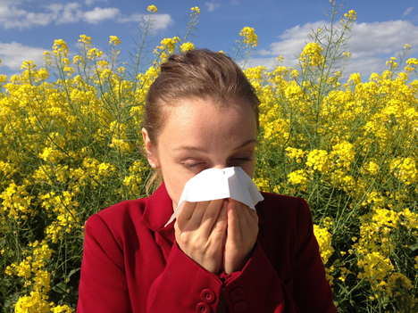 La Comunidad informa por SMS sobre los niveles de polen que más afectan a los alérgicos en primavera