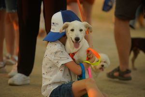 Las Rozas celebra un CaniCross en Navalcarbón para promocionar los beneficios de tener un animal de compañía