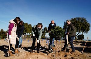 El proyecto Arco Verde de la Comunidad de Madrid alcanza la cifra de 50.000 árboles plantados
 