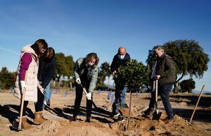 El proyecto Arco Verde de la Comunidad de Madrid alcanza la cifra de 50.000 árboles plantados
 