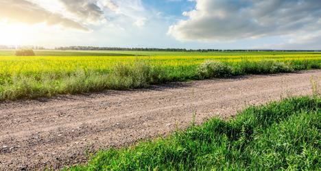 La Comunidad de Madrid anuncia el inicio del mayor plan de conservación de caminos rurales de su historia