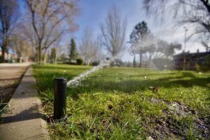 Las Rozas ahorra un 40 por ciento de agua digitalizando el riego de las zonas verdes