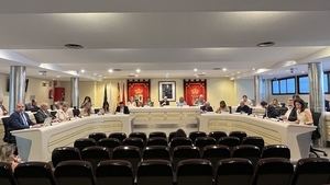 Pleno Municipal de Majadahonda