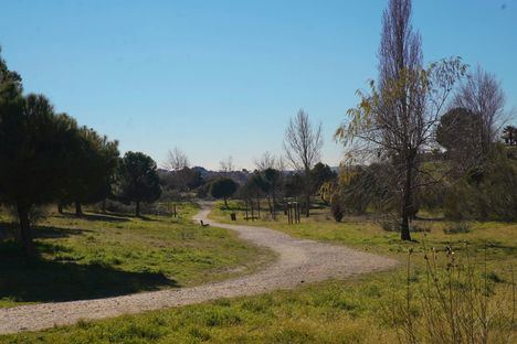 Las Rozas adjudica las obras para la remodelación completa del parque urbano de El Lazarejo