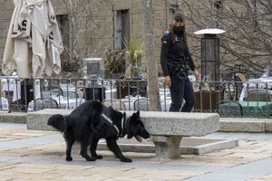 San Lorenzo de El Escorial presenta la nueva Unidad Canina de la Policía Local