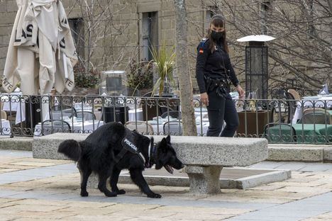 San Lorenzo de El Escorial presenta la nueva Unidad Canina de la Policía Local