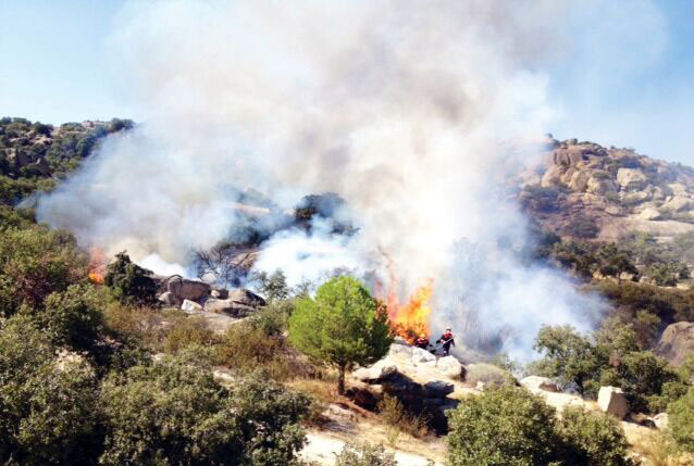 Plan de Protección Civil ante Emergencias por Incendios Forestales: contra el fuego, prevención