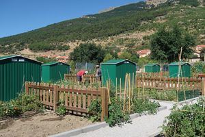 San Lorenzo de El Escorial ofrece 38 huertos sociales a los vecinos