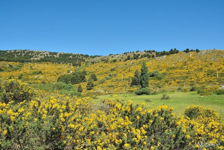 Los Molinos y Las Rozas albergan algunos de los rincones más bonitos de la región, según un certamen de Instagram