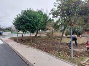 La Concejalía de Medio Ambiente de Torrelodones recupera una zona verde en Peñascales