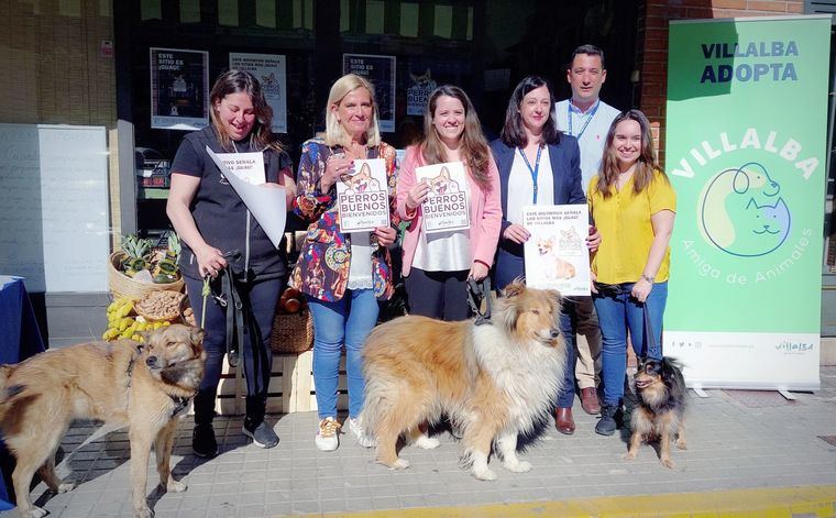 Collado Villalba da la bienvenida a los ‘perros buenos’ en los establecimientos comerciales