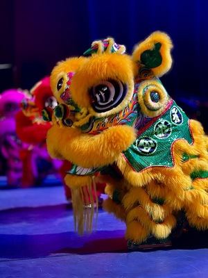 Las Rozas celebró la llegada del Año Nuevo Chino con el embajador de China en España
