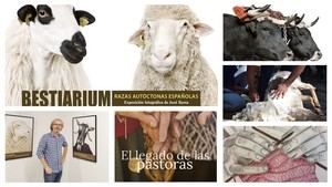 San Lorenzo rinde homenaje al mundo rural con la exposición ‘Bestiarium’, charlas, talleres y degustaciones