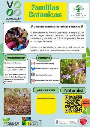 Hoyo de Manzanares se suma al Biomaratón de Flora Española con una actividad este viernes
 