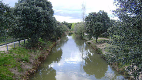 EL Colegio Balder redescubre el canal de Guadarrama del siglo XVII