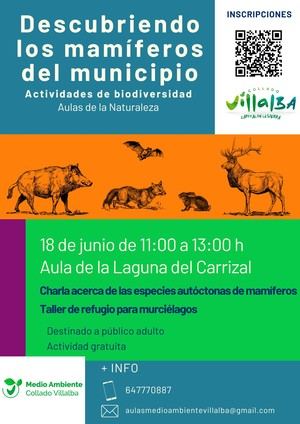 Las Aulas de Naturaleza de Collado Villalba proponen un taller para conocer los mamíferos locales