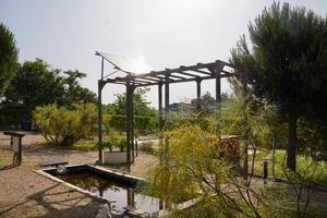 Las Rozas recogerá agua de lluvia de La Talaverona para utilizarla en el riego de los huertos urbanos