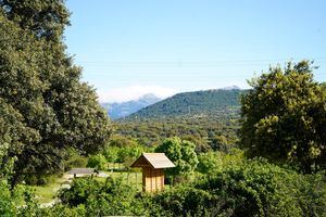 La Comunidad de Madrid inicia diversos trabajos de adecuación en Montes de Utilidad Pública de Alpedrete