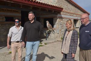 Collado Villalba presenta su nuevo Programa de Control de la Fauna Silvestre