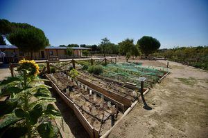 Las Rozas presenta nuevas actividades para primavera y verano en el programa de Educación Ambiental