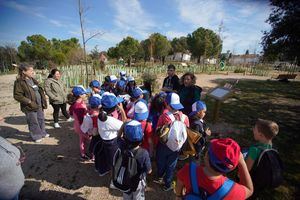 Las Rozas pone en marcha el Programa de otoño de Educación Ambiental