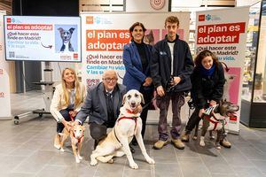 La Comunidad de Madrid fomenta la adopción responsable durante la Navidad con ‘El Plan es Adoptar’