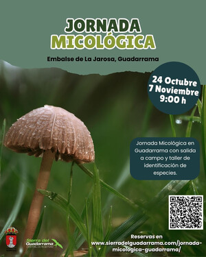 Comienzan las Jornadas Micológicas en Guadarrama con salidas y talleres de identificación y gastronómicos