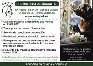 Dale la mejor despedida a tu mascota con Everpet