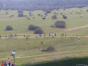 Más de 1.000 escolares participaron en la final de campo a través de la Agrupación Deportiva de la Sierra