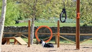 Nuevo espacio canino en Galapagar tras la renovación del agility de El Toril