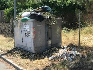 APPG denuncia la proliferación de plagas por la falta de limpieza y mantenimiento