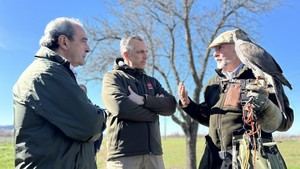 La Comunidad de Madrid controla 9.000 jabalíes para proteger cultivos y reducir accidentes de tráfico