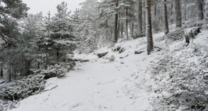 La Comunidad activa el nivel 0 del Plan de Inclemencias Invernales y recomienda no acudir a la Sierra