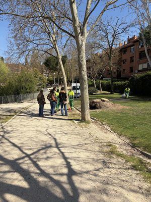El Ayuntamiento de Las Rozas anuncia un plan integral para reformar el Parque París