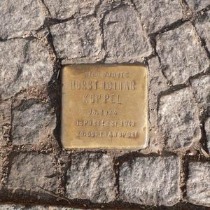 El PSOE de Collado Villalba propondrá en el Pleno municipal homenajear a dos villalbinos víctimas del Holocausto