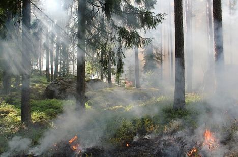 La Comunidad de Madrid constituye un Comité Interdepartamental que reforzará su lucha contra los incendios forestales