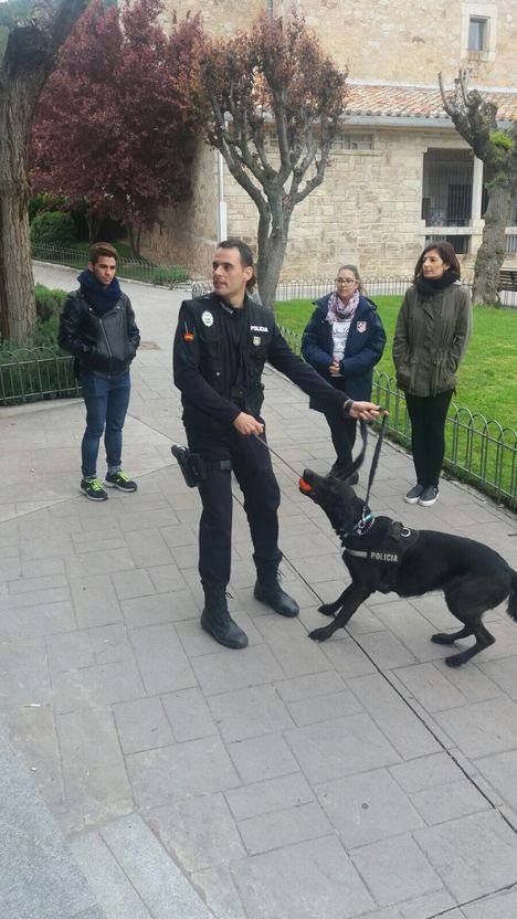 Curso de adiestramiento canino adaptado a sordos