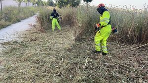 Los trabajos de desbroce en Collado Villalba continuarán hasta finales de junio