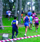 Cross Trofeo Rector Universidad Antonio de Nebrija